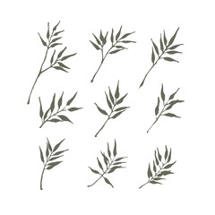 Fototapeta premium Set of bamboo leaf design for summer holiday, vector illustration.