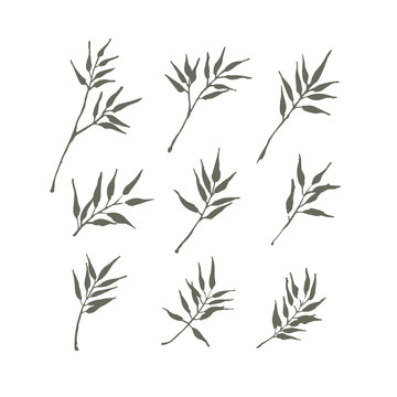 Set of bamboo leaf design for summer holiday, vector illustration.