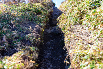写真素材：山道、登山道、三嶺、四国、道、山、自然