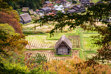 "Gassho-zukuri"  houses in Shirakawa Village