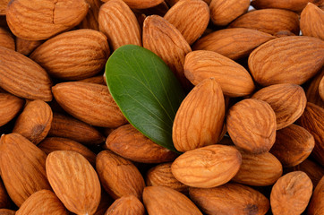  almonds  background