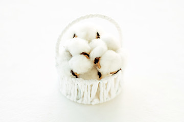 Cotton flowers in a basket on a white background