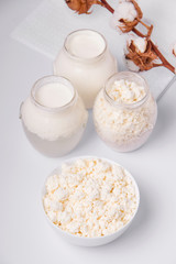 dairy products on a white background. Blue cheese,cottage cheese, milk, sour cream, sourdough. white textile