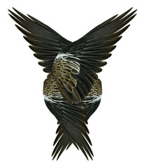 Pinion on the sprawling white