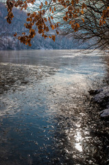 Nature photo, river with pieces of ice and tree branches with orange leaves.