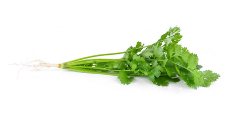 Bunch of fresh coriander leaves over white background