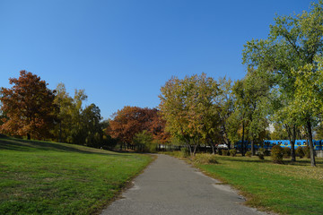 Long road in a green Park. Nature in the city.