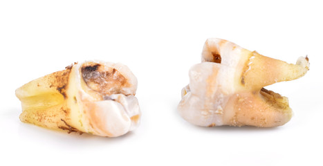  caries  isolated on white background