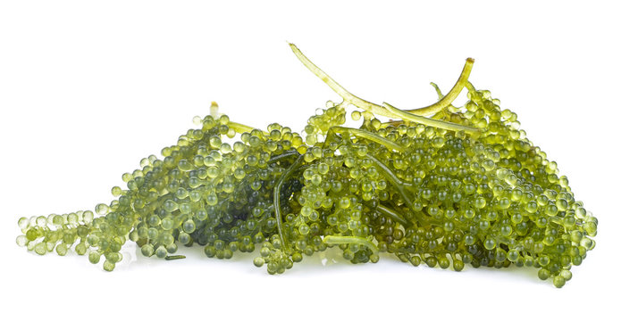 Sea Grapes Isolated On White