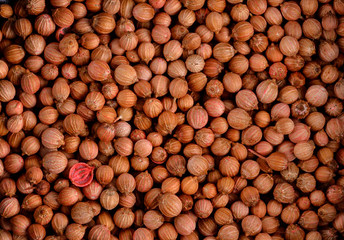 Coriander seeds background