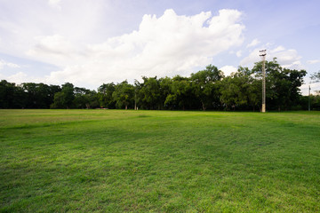 landscape of grass field and green environment public park use as natural background,backdrop