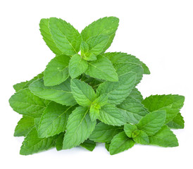 Fresh mint leafs isolated on a white background
