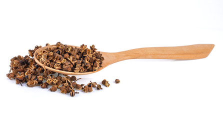 Zanthozylum limonella Alston on white background