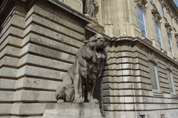 Obraz premium Budapest capital city of Hungary