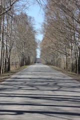 Город, дорога, ночь, пистолет, голуби, дети, памятник.  City, road, night, gun, pigeons, children, monument