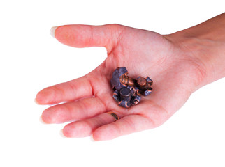 Expansive shot bullets lie in a female palm, on a white background.