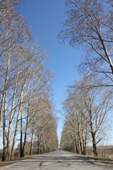 Город, дорога, ночь, пистолет, голуби, дети, памятник.  City, road, night, gun, pigeons, children, monument