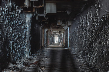 Fototapeta na wymiar Abandoned corridor in Pripyat Chernobyl Exclusion Zone 2019