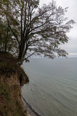 Steilküste Rügen