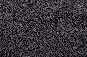 sweet basil seed on background