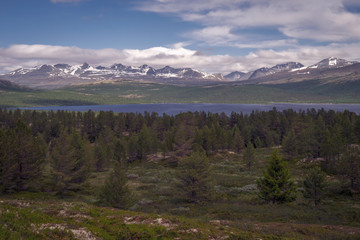 Fototapeta premium Beautiful mountain scenery over Rondane mountain chain in Norway from Kvam. Forest, nature, snowy peaks, lake, scenic concept.