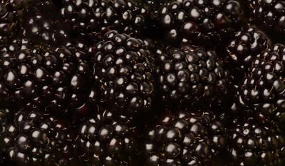 Brombeeren