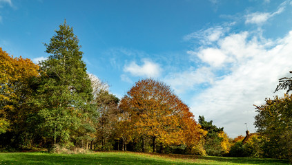 OLYMPUS DIGITAL CAMERA - WIDE