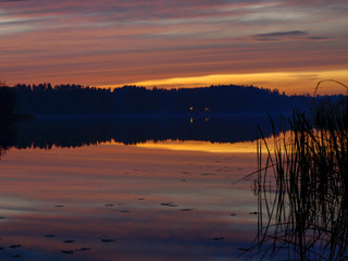 Obraz premium Beautiful, colorful landscape of a foggy lake during sunrise. Misty dawn in the lake. Bright sun over lake.