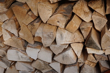 Firewood logs stacked from dried beech wood