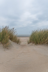 Fototapeta na wymiar Dünenlandschaft am Strand mit Blick aufs Meer bei bewölkten Himmel