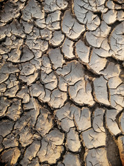 Cracked and dry soil textured