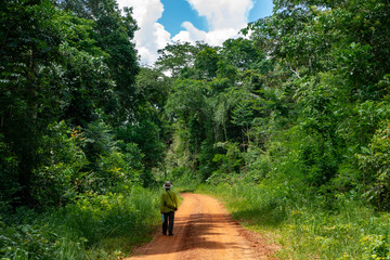 Ramal Principal da Reserva Extrativista Chico Mendes em Xapuri, Acre