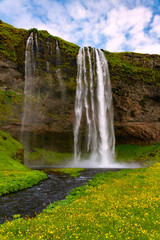 Obraz premium Seljalandsfoss Island Attraktion Felskante Wasserfall Höhe Kante Reiseziel