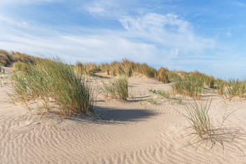 Dünen am Strand – Kijkduin Strand, Den Haag, Holland, Niederlande