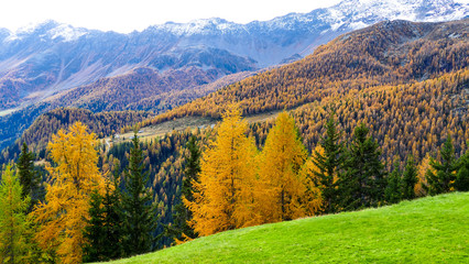 Fototapeta premium autumn in the mountains