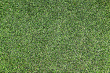Obraz premium Natural green grass top view sport background texture concept.surface for any design.