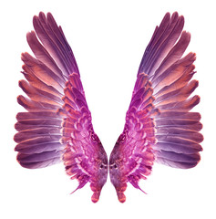 Fairies photos, royalty-free images, graphics, vectors & videos | Adobe ...