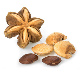 Sacha peanut  on the white background