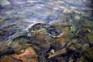 Remous de la mer sur des rochers