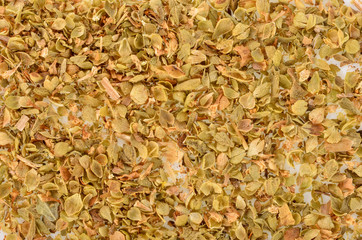 Dried Oregano  background
