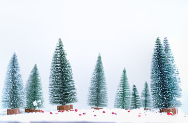 Christmas - Christmas ornament - Pine cones and branches  On the snow