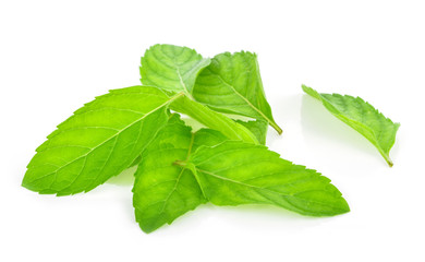 Fresh mint leafs isolated on a white background