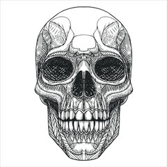 skull art illustration graphic design