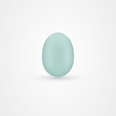 Duck egg icon vector design