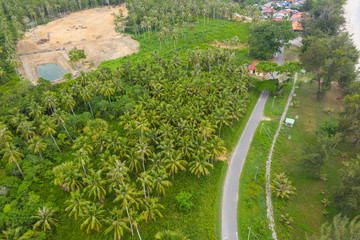 Beautiful Aerial pattern coconut palm tree at Kudat, Sabah, Borneo