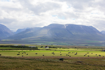 paysage de campagne