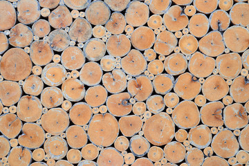 Background texture of stack of trunk.