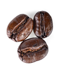  coffee beans  isolated on white background