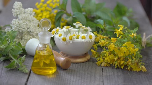 fresh healing medicinal herbs plants on wooden table, Alternative natural herbal medicine. mortar with chamomile, essential oil. Yarrow mint Melissa Hypericum tansy. herbal cosmetics, healthy tea, 4 K