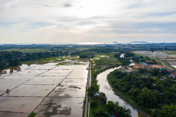 Aerial view of beautiful paddy field surrounding by small town at Penampang, Sabah, Borneo 